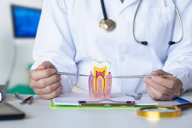 Best Emergency Root Canal Treatment in Levittown, NY
